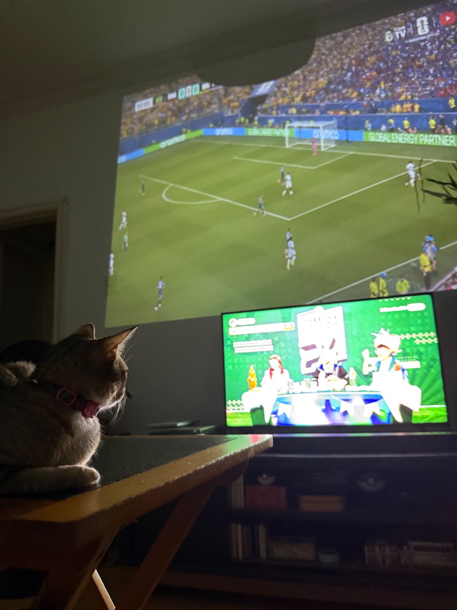 LucasReisRAS's tweet photo. O #Camisa24 está tão bom que até a Missy tá assistindo https://t.co/2ifJbf1Nlg