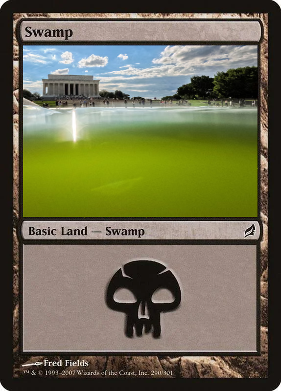 mathbrick's tweet photo. #refectingpoolgate #whitehouse #refelctionpool #magicthegathering https://t.co/L2OwKqZvpa