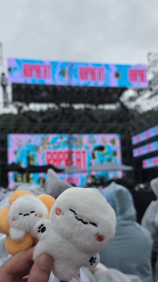 _Chamoo1006's tweet photo. 雨結構降ってきたよほにちゃんん😭😭😭😭😭 https://t.co/MKTK5wA65o