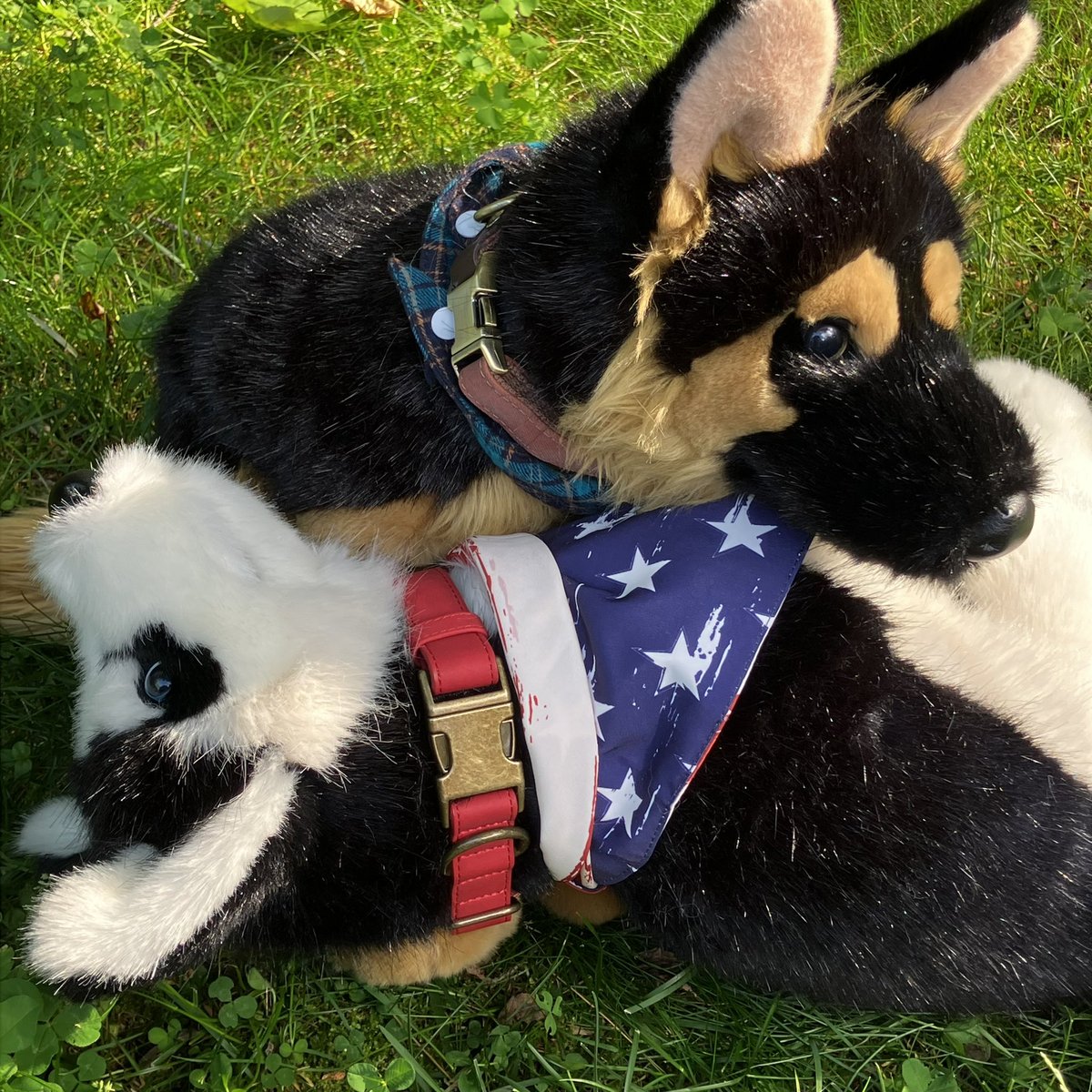 wolfy491co's tweet photo. Saigon and Koyuk showing off their new gear in the yard today. 🐾 #gsdplush #huskyplush #handmadeplush https://t.co/HZBdQjN84k