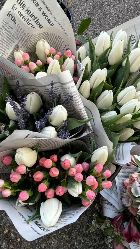 tutututututulip's tweet photo. Tulips https://t.co/MaoI3vVbdx