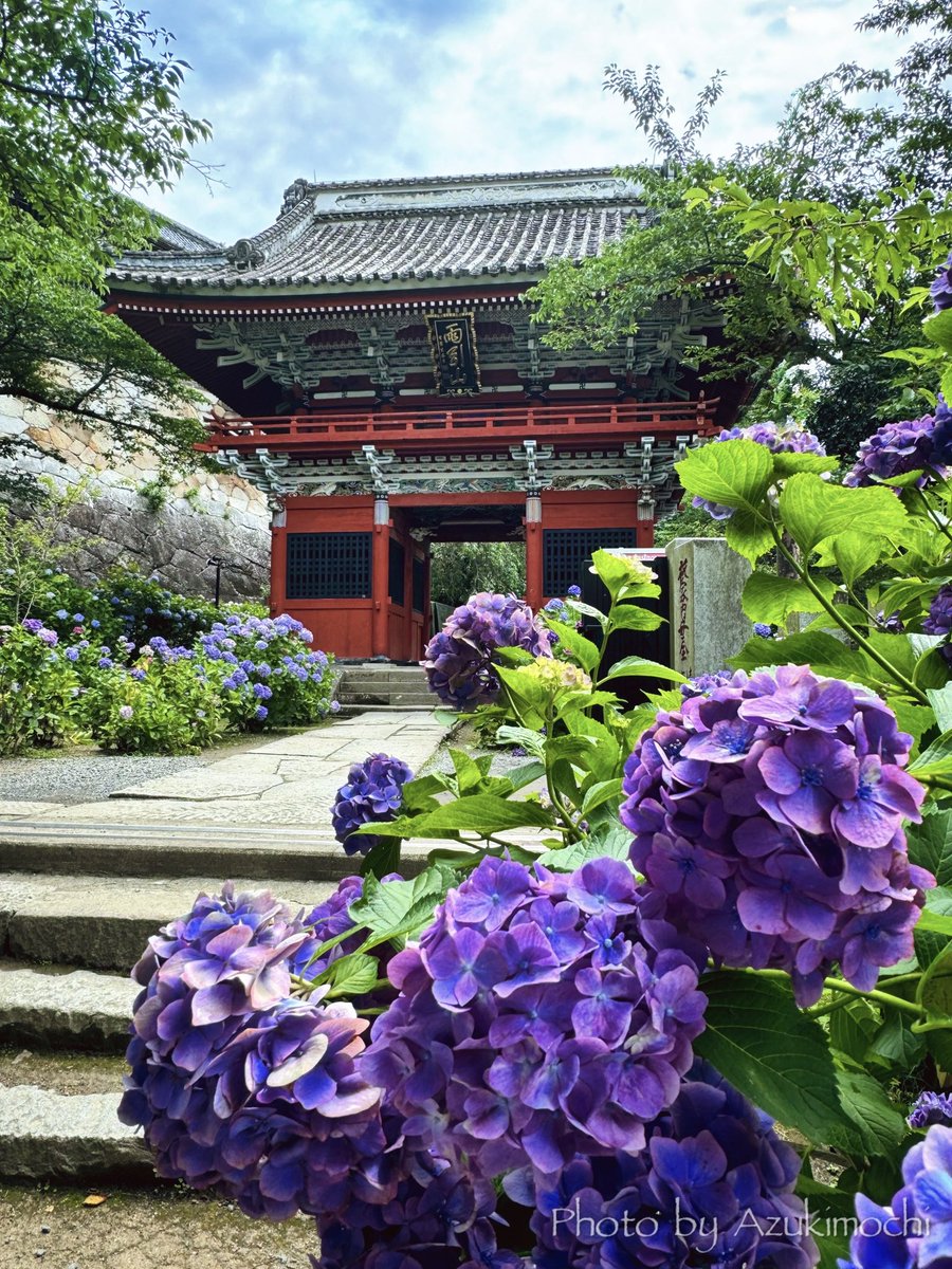 azukimochi_2nd's tweet photo. 紫陽花が咲く雨引観音が素敵です https://t.co/qcyAW8PdSn