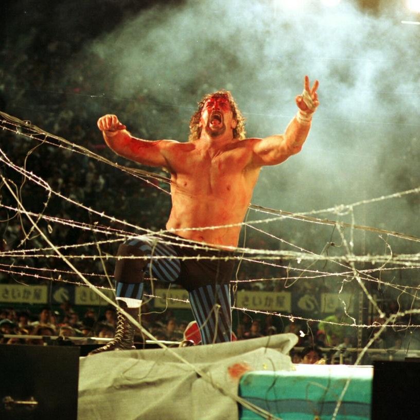 JohnGjoni's tweet photo. Forever wild, forever tough, forever the Funker. πππ #TerryTuesday https://t.co/aG4hzpaQp1