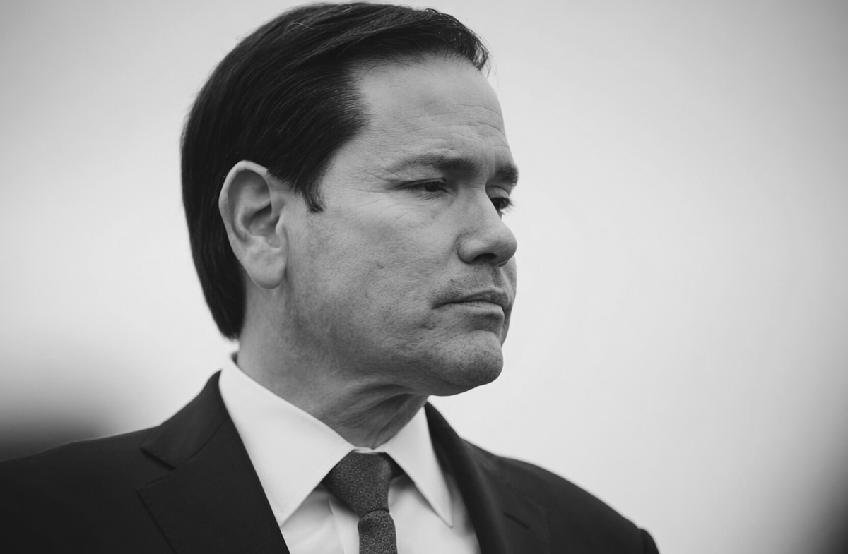 The Conservative Alternative tweet media
