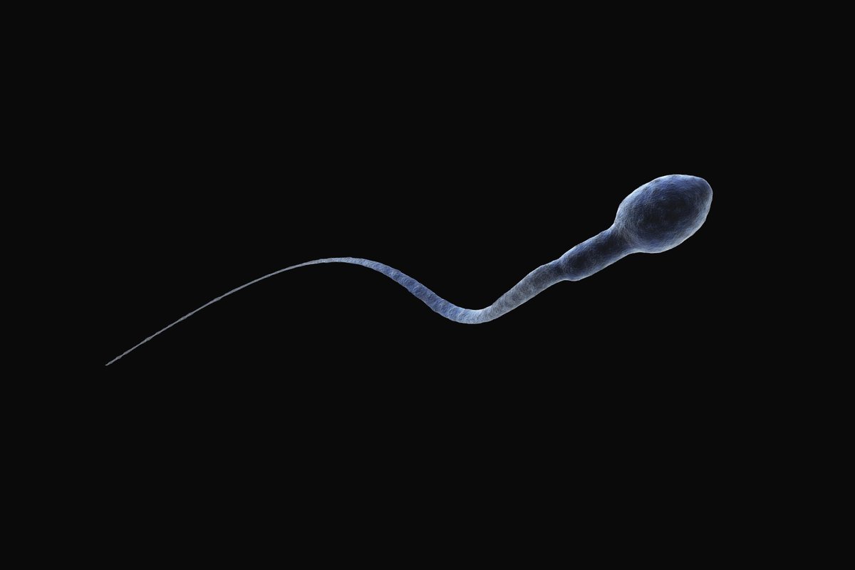 Bro_lific's tweet photo. @DelusionPosting If he thinks she looks 12.... then what does he think an actual 12-year-old looks like? a fuckin sperm cell?? https://t.co/mX0Cd3Jct7