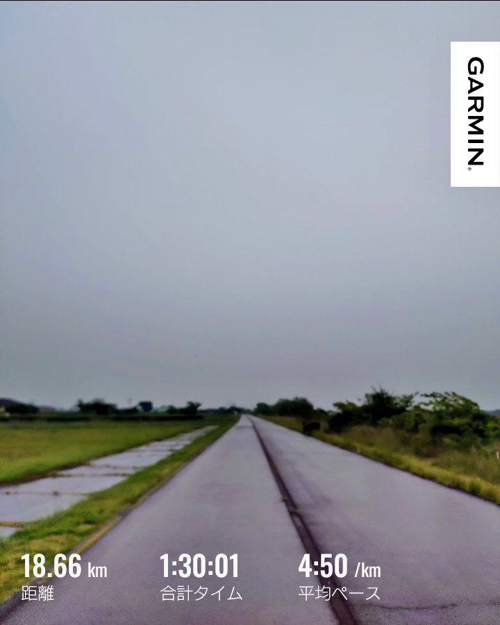 GojiT2's tweet photo. 今朝は小雨の中をペース走90分。靴の反発を生かせる様に着地位置に気を付けて。
すれ違ったランナーさんが全く同じマラソン大会の参加賞Tシャツを着てた。連帯感が生まれるのは良いけどちょっと気まずい。よね？ https://t.co/Ra4zMMUTT8