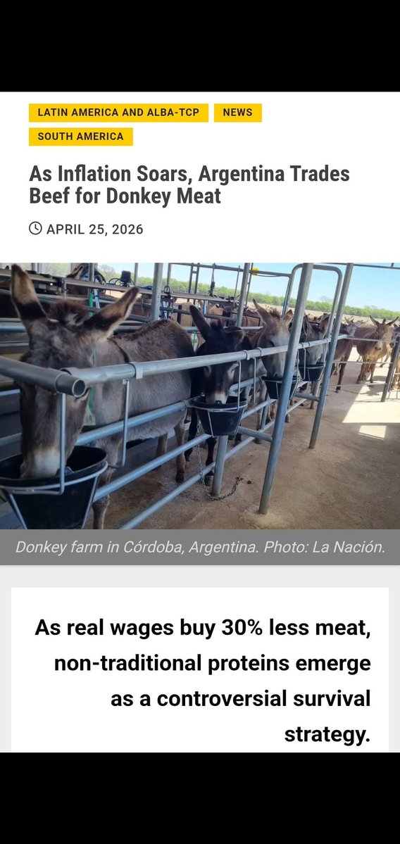 Guandarugg's tweet photo. @LollipopLeyley Donkey meat is not good https://t.co/JEl5UkBApQ