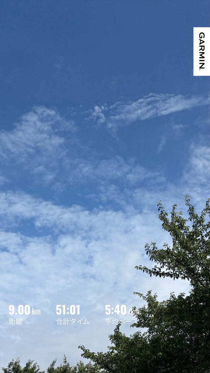 kmounty's tweet photo. 朝ラン完走。
画像は青空ですがア実際は降雨前の曇天です☁️
2kmジョグ→1kmダッシュ＋1kmジョグを3セット→500mダッシュ→クールダウン
肺はパンパンです。
#朝ラン #ランニング https://t.co/q0Ep6ijyLb
