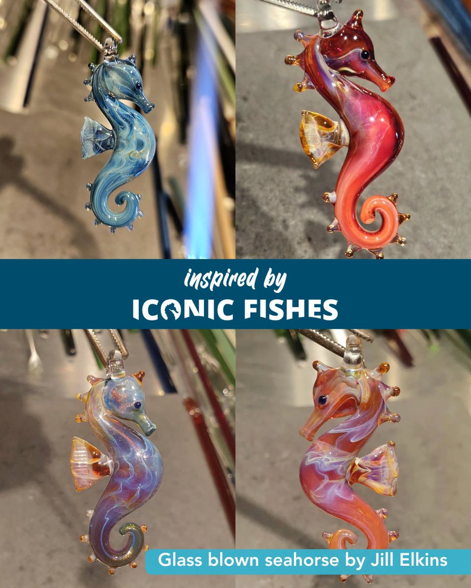 projectseahorse's tweet photo. We’re delighted to spotlight these stunning glass-blown seahorses, crafted by the talented Jill Elkins! Inspired by #IconicFishes is our global arts movement, open to everyone, everywhere, using creativity to inspire awe for these magical fishes! Take part https://t.co/QQDttAzBB1 https://t.co/GIsHQGiraB