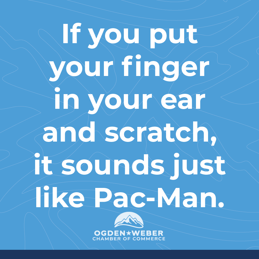 owchamber's tweet photo. Here's your totally useless information for Fun Fact Friday. You'll thank us later.
#FunFactFriday #OgdenWeberChamber #UselessFacts #Trivia #TheMoreYouKnow https://t.co/CrBPDJnGAy
