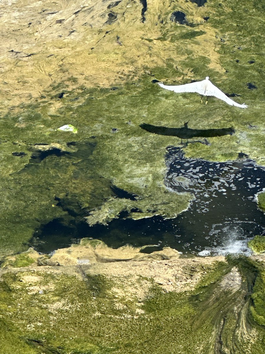 jin__ox's tweet photo. 🍃 https://t.co/d5ZPLuFyqh