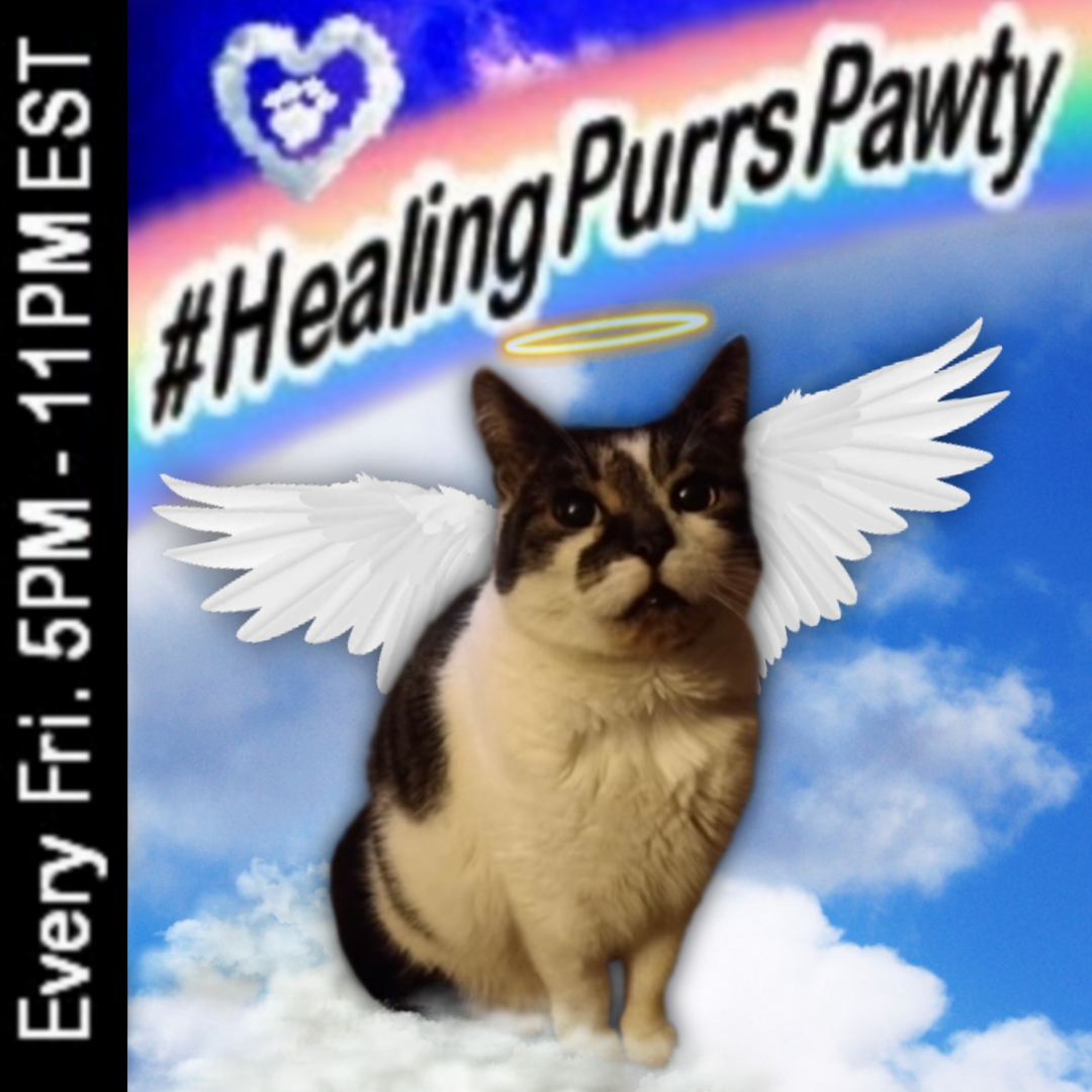 HealingPurrsPaw's tweet photo. ༺♥︎༻#HealingPurrsPawty༺♥︎༻
Just a reminder, da #BAR iz still #OPEN!
If yooz needz anofer drinky ☕️🥛🧃🍺🍸🍹or/n nomz 🍩🍪🍰🍗🥓🍔🌮🌭🍟🍕, just ask #AngelAlfie @MatthewSummors or #TJS @TJS12145 https://t.co/LKY1awBzas