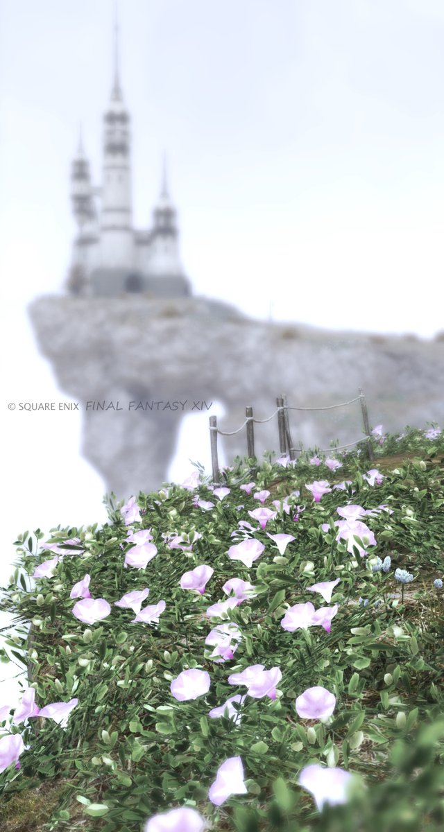 lshie_c's tweet photo. #FF14鮮やか3の世界
#FF14風景 https://t.co/S4rqq1MDRN