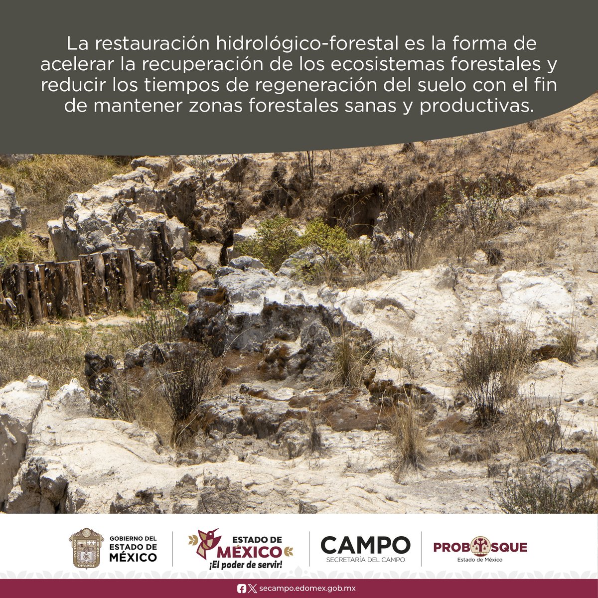 Probosque_'s tweet photo. #BosqueEscuela | ¿Sabes qué es la #RestauraciónHidrológicoForestal?
En #Probosque trabajamos para restaurar y proteger el patrimonio natural mexiquense. #ElPoderDeServir https://t.co/XBcMhG6d3w