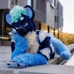 Photo by Tulus (@TulusYeen)