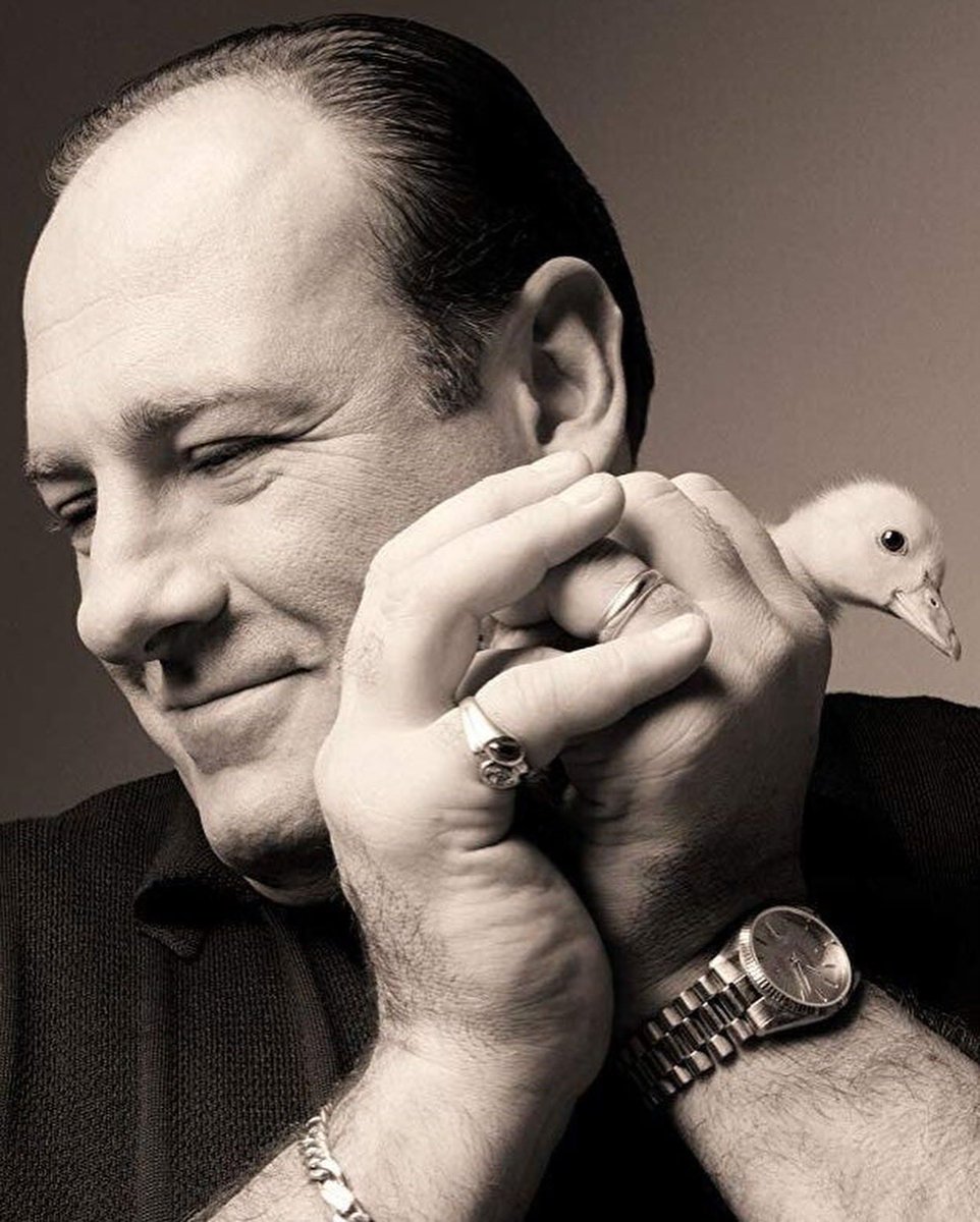 timeimmemorial_'s tweet photo. Today marks 13 years since we lost the great James Gandolfini, who passed away on June 13, 2013 🕊️ https://t.co/x4wde6Gslg