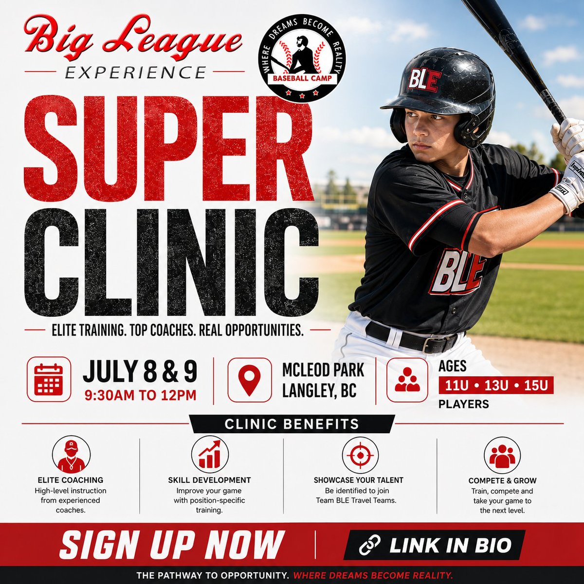 Big League Experience tweet media