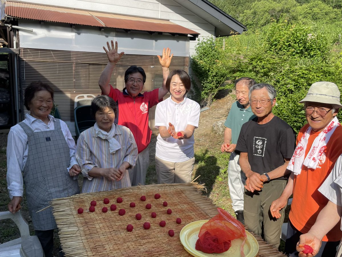 rika_oouchi's tweet photo. 紅餅づくりの研修会に参加。
山形県紅花生産組合連合会では毎年、圃場調査や研修会を開催しています。

今年は私も久しぶりに生産者の皆様と一緒に体験しました。
江戸時代から脈々と引き継がれてきた技術は、地域や生産者によって多少のやり方に違いがあります。
当連合会では、いかに赤の含用量を高く美しい紅餅を作ることができるのか、技術を惜しみなく共有し、加工品の品質向上に務めています。

紅花生産に誇りを持ち、作り続けて下さっている生産者の皆様が宝物です。
しっかり守っていかなければ。