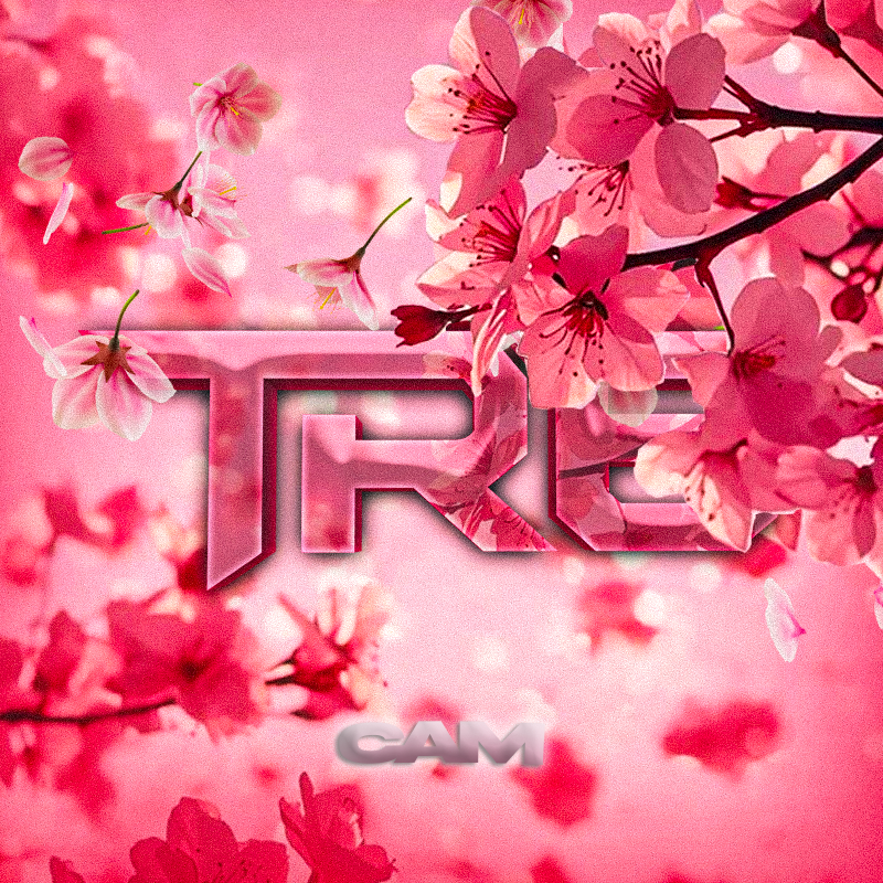 SxriptDesigns's tweet photo. Some recents 😈

Avi Prices
Custom = 5$
My Style = 3$ https://t.co/t3Fp8MqgVV