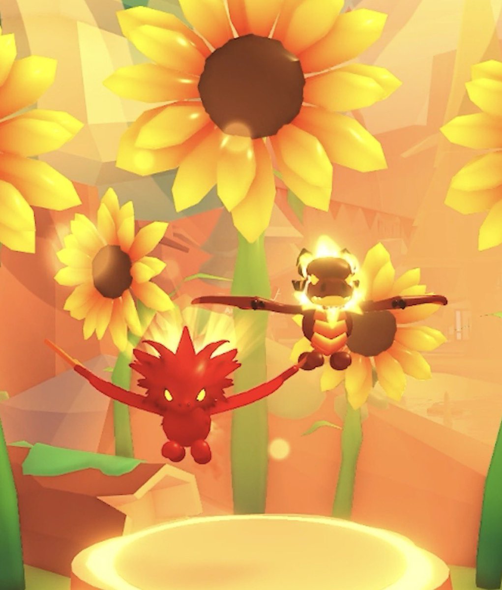 just_zj9000's tweet photo. Summerfest pet Solaris (left) has gone through a redesign

What do we think about it👀👀👀 https://t.co/XXdXv0ayTh