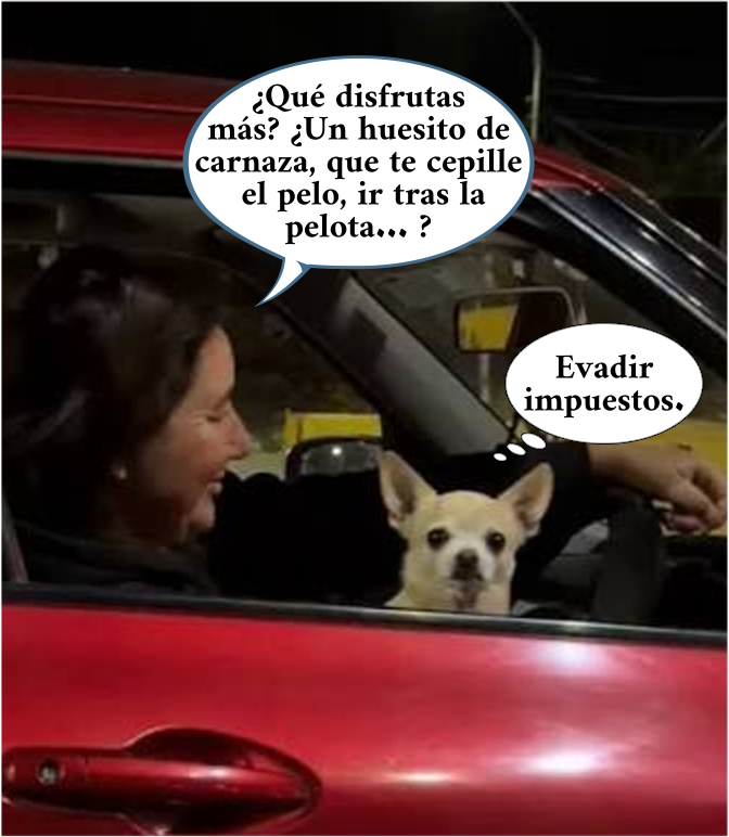 PM_Navegaciones's tweet photo. Lo que no te confiesa tu mascota https://t.co/0sSZ5SJU8Z