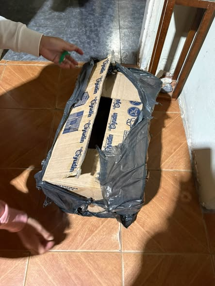 XxiJusticia's tweet photo. Geste insensible los abandonó 
Grand bourg  
Los llevaron a la veterinaria "LA MASCOTA" https://t.co/BKsar2F427