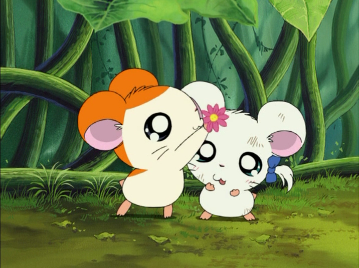 Nise_Hamtaro's tweet photo. https://t.co/defh2Rv9SH