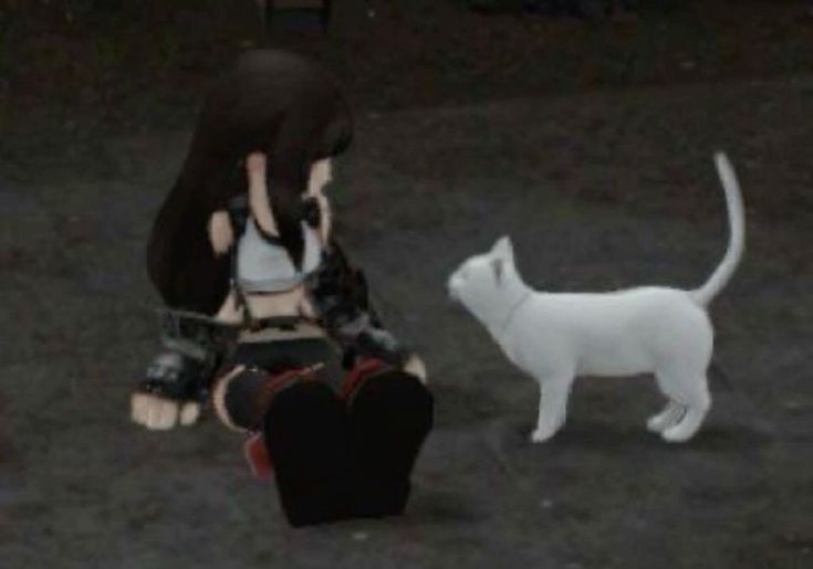 MemoryOffline's tweet photo. me and my cat https://t.co/SmecvYwiZP