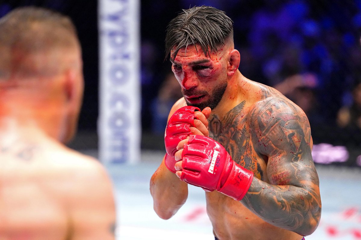 urcheesed's tweet photo. No rose is without thorns #topuria #ufc https://t.co/6RlJtEUzmc