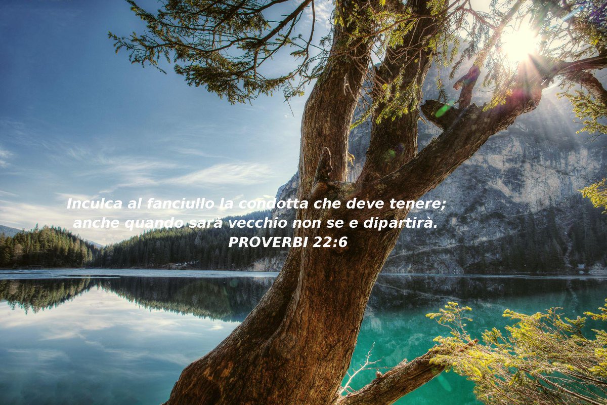 digitaltheword's tweet photo. Have a blessed morning.
Verse of the day #VerseOfTheDay #Bible #TheWordofGod #Inspiration #Blessed #Italian #BibleInItalian https://t.co/J2R3tZAyGB