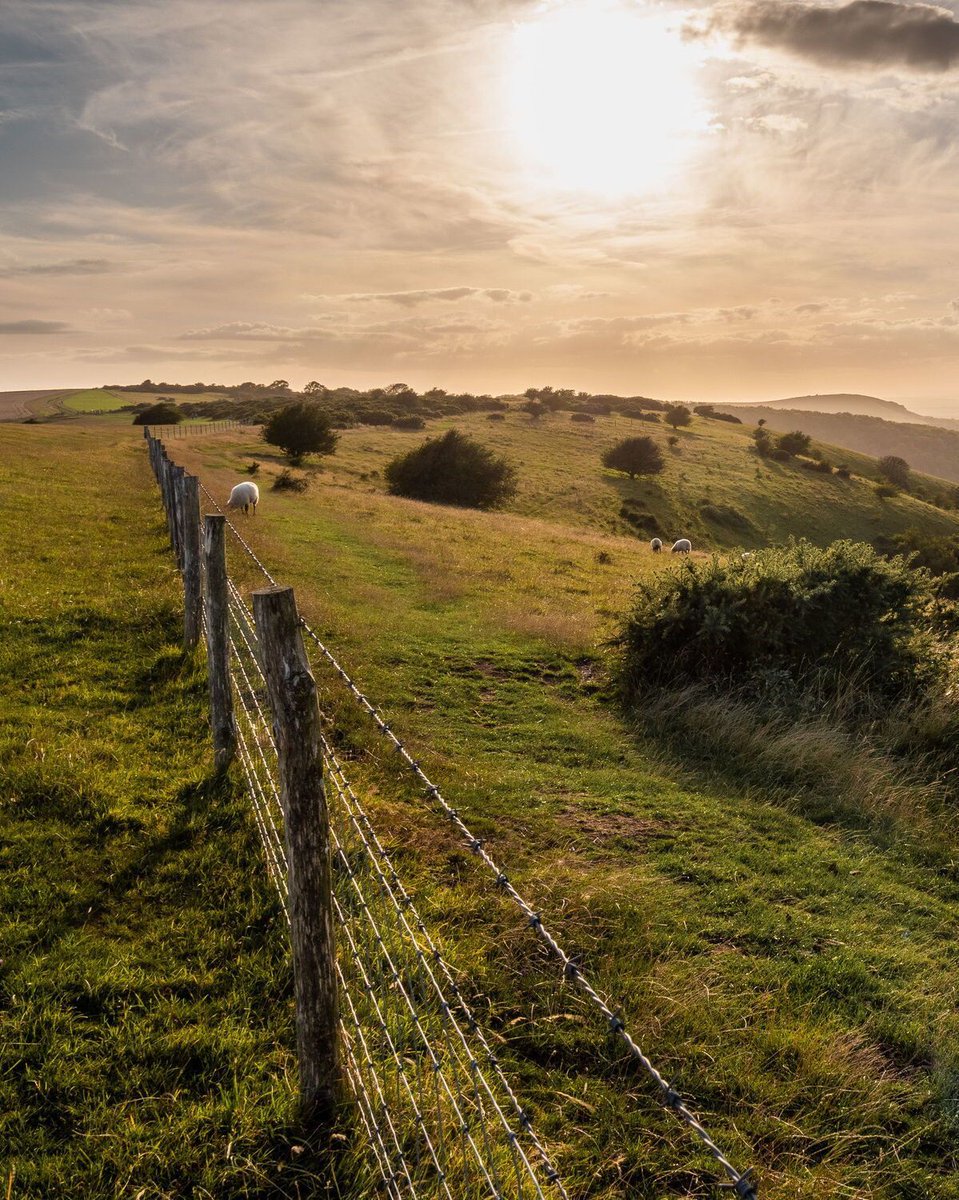 sdnpa's tweet photo. With high temperatures forecast the next few days, please plan ahead: carry water, take regular shade stops and avoid midday temperatures.
 
BBQs and open flames are not allowed anywhere in the National Park.
 
Please take care in the heat ☀️ 

📸: Dave Meades https://t.co/qlNMopXWVK