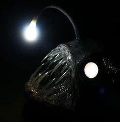 ‎⃟ tweet media