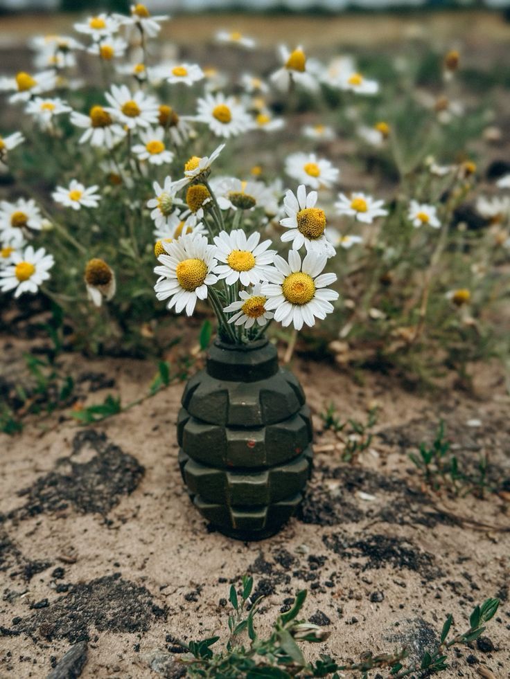 Wisdoms_Path's tweet photo. " You can bomb the world into pieces, but you can't bomb it into peace." - Michael Franti https://t.co/77CCdtYmKV