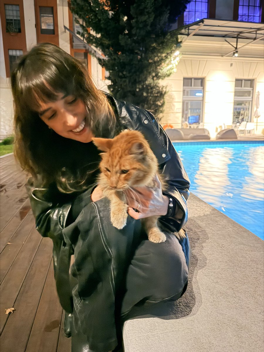 bielaypiston's tweet photo. Volvemos de cenar con mi mujer y vemos este cartel de gato perdido. Me dice "demos una vuelta a ver si lo vemos"...
5 minutos después, lo encontramos 😻
Llamamos a la dueña, que vino inmediatamente a buscarlo, llena de alegría.
Un simple "demos una vuelta" que valió la pena ❤️ https://t.co/zgSnLT7QTp
