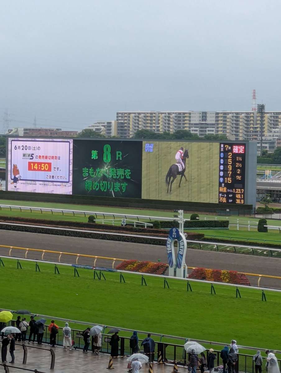 nagotk's tweet photo. 大遅刻競馬 https://t.co/FOdH84gI33