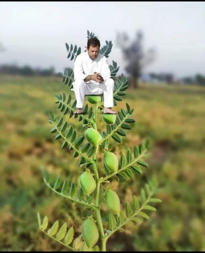 shivkumarS97161's tweet photo. @Saurabh37244583 चमचे इसको फिर चने के झाड़ पर चढाने मे लगे है जबकि इसकी पार्टी के वरिष्ठों को इसे प्यार से टॉफी देकर पिछवाड़े लात मारकर भगाना चाहिये 😀 https://t.co/ENSV9Y2ObT