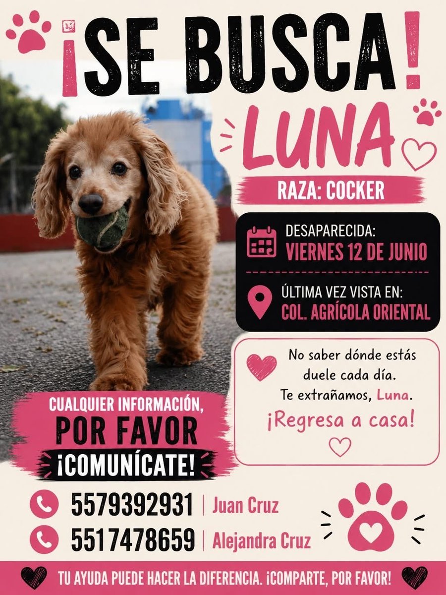 mascotamx's tweet photo. Atención #CDMX https://t.co/d0G5LOOMWx