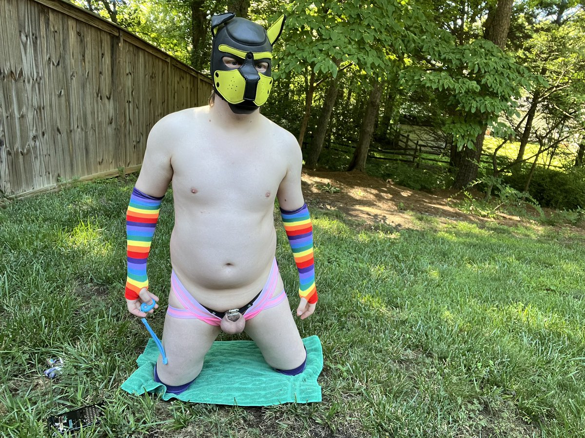 Crueless_Lex's tweet photo. Pup play #chastity https://t.co/O5Jmixbsah