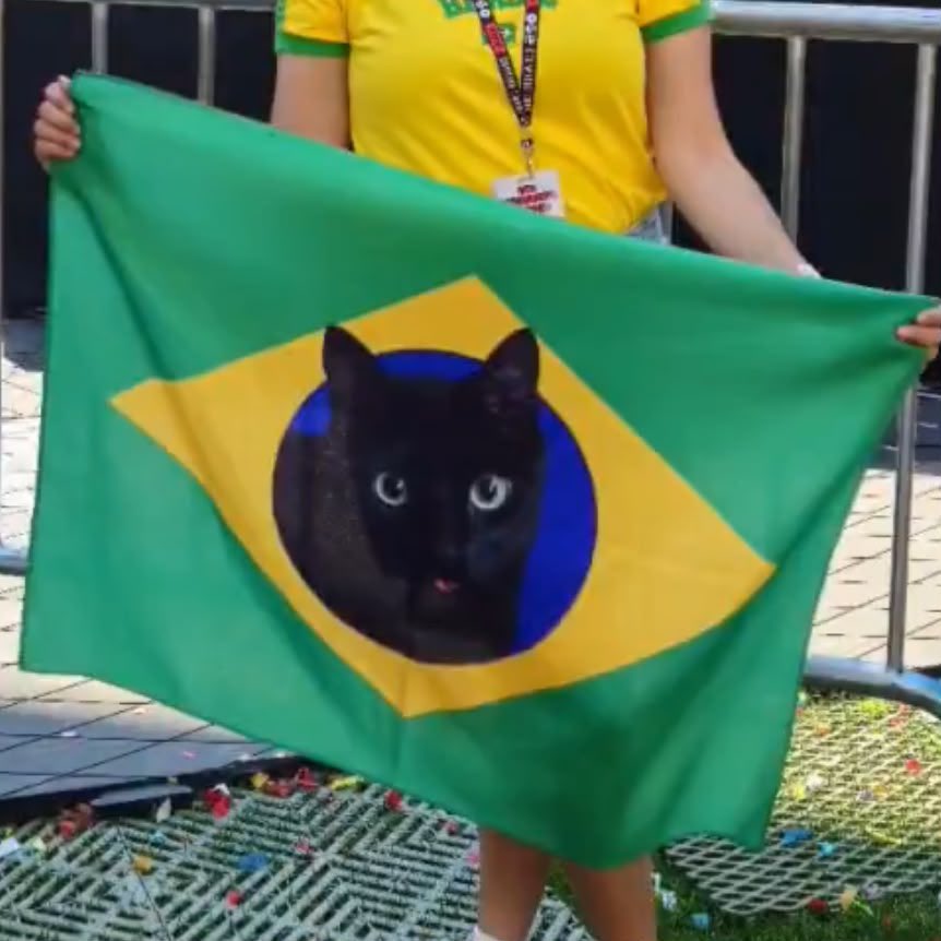 mygteambr's tweet photo. E TOME MAIS UM GOOOL DO BRASILLLLLL 😝🎉🎉⚽️⚽️😝🇧🇷🇧🇷⚽️🎉😝🎉⚽️🇧🇷🇧🇷🇧🇷 #BRAxHAI https://t.co/mewMrqPmUS