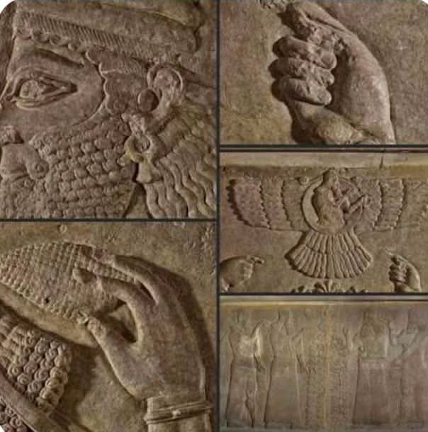 GilgameshIQ's tweet photo. الملوك الآشوريين وشجرة الحياة المقدسة

ربطوا  الآشوريين ملوكهم بـ "الشجرة المقدسة" (شجرة الحياة). هي رمز ديني قوي في حضارة بلاد الرافدين القديمة في العراق.

تمثل الشجرة

الخصوبة: ترمز إلى النماء والعطاء وتجدد الطبيعة.

البركة الإلهية: يعتقد الآشوريون أنها تجلب الخير والشفاء من الآلهة.

شكلها: تتكون من أغصان متداخلة تزينها ثمار تشبه "كوزه الصنوبر"، وتحيط بها أزهار مقدسة.

دور الملك مع الشجرة

يظهر الملك في النقوش والمنحوتات الآشورية واقفاً أمام الشجرة.

يرفع يده اليمنى بالدعاء أو التحية.

يمسك بيده اليسرى جرة أو دلواً مقدساً، ويقوم بطقوس "التطهير" بالماء المقدس لضمان حماية الإمبراطورية.

النقوش التي تصور هذا المشهد هي تحف فنية مهمة توضح كيف ربط الملوك قوتهم ببركة الآلهة والطبيعة.