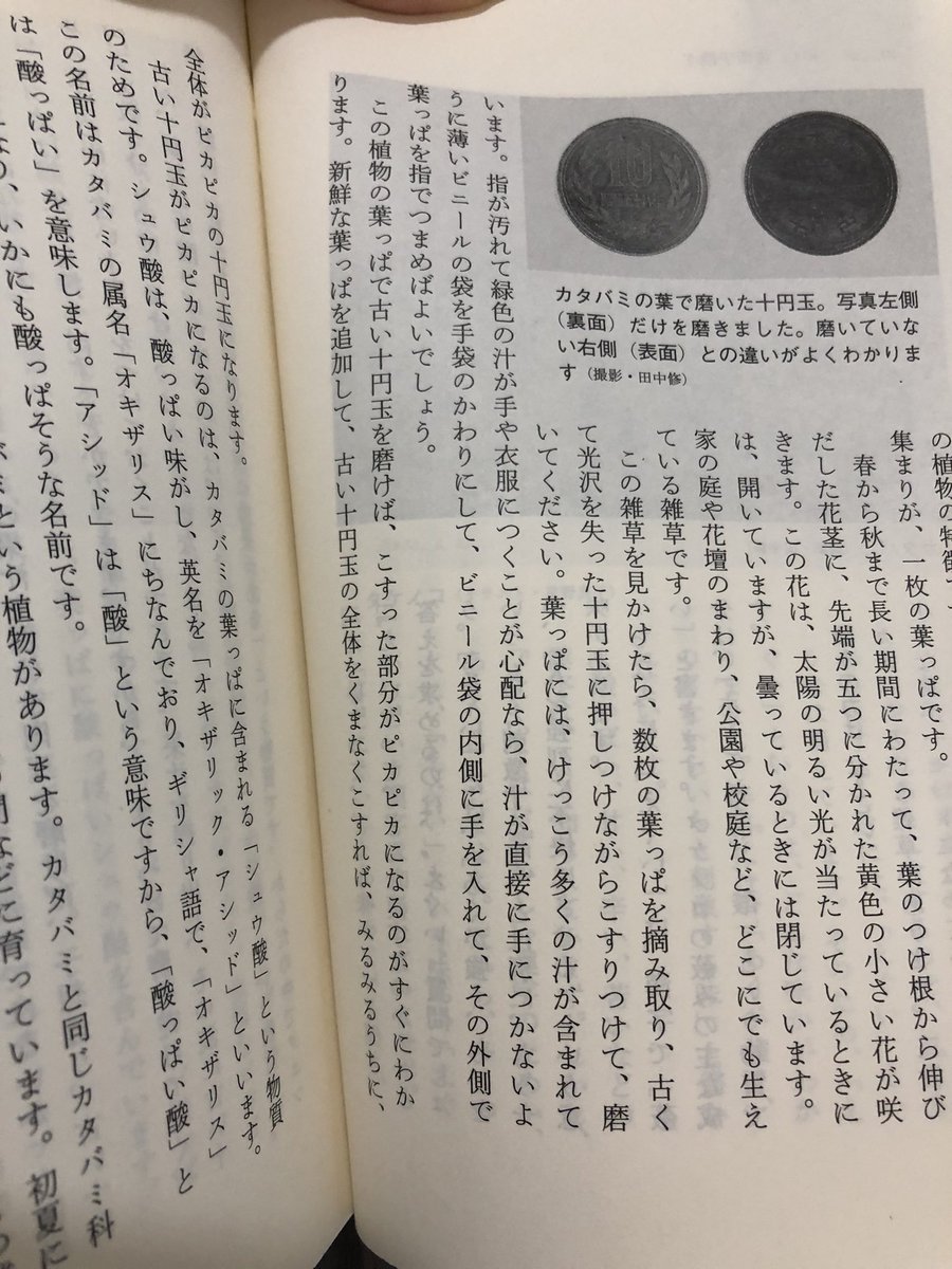 zfofxi's tweet photo. この本で一番ひっくり返ったところ。

「薄いビニール袋をつけて葉っぱを摘めば良いでしょう」で良いのに、「ビニール袋の内側に手を入れて、その内側で」という表現。 https://t.co/2fnxcnG6E9