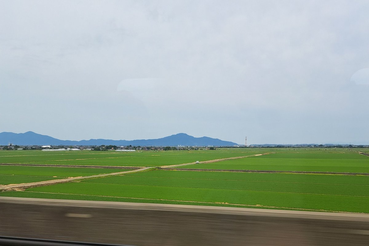 Room111S's tweet photo. 広大な田んぼだぁ✨🌾🌾🌾
日本の食を支えてる場所だぁ✨
もうすぐ新潟駅🚄❗ https://t.co/QZtZCtjZEr