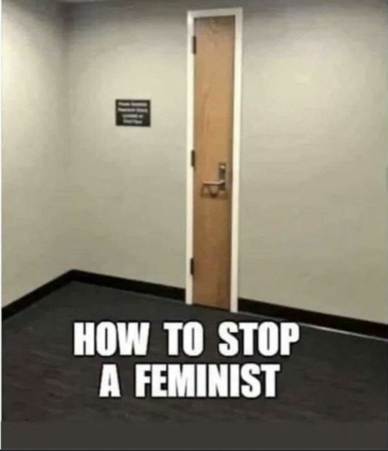 bitch_boyyy's tweet photo. @hoanonhenosoch @Sdmr30dy sério mesmo? esse tipo de imagem roda o meu twitter diariamente, sem contar as comparações, e termos como "a amiga geladeira" https://t.co/0kopob3HGP