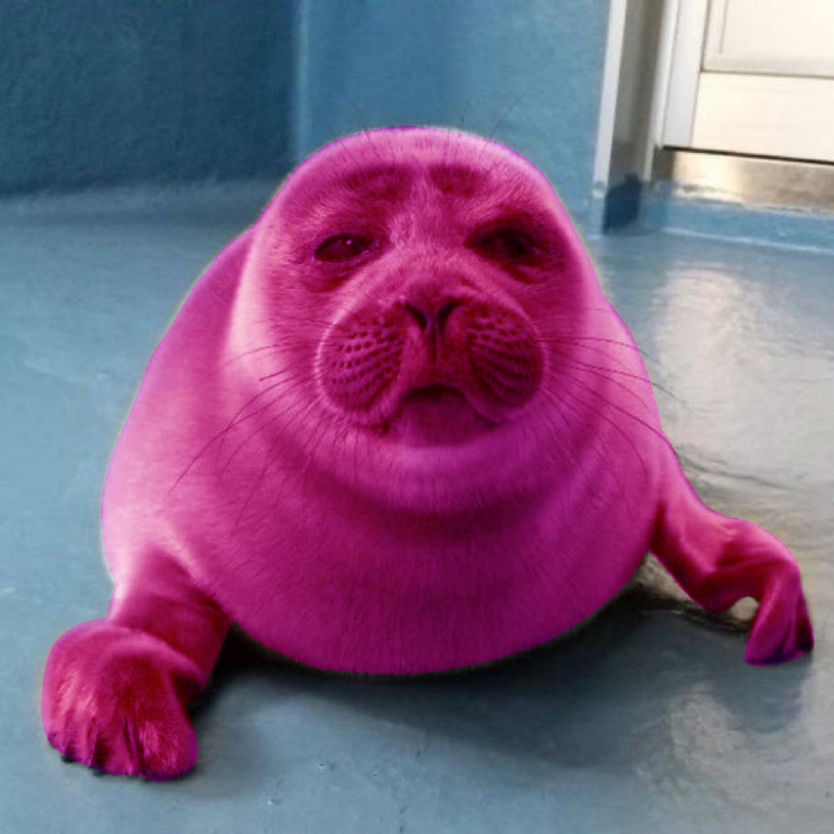mossyseals's tweet photo. niko has become #woke in celebration of pride month https://t.co/WBO20qDXeY