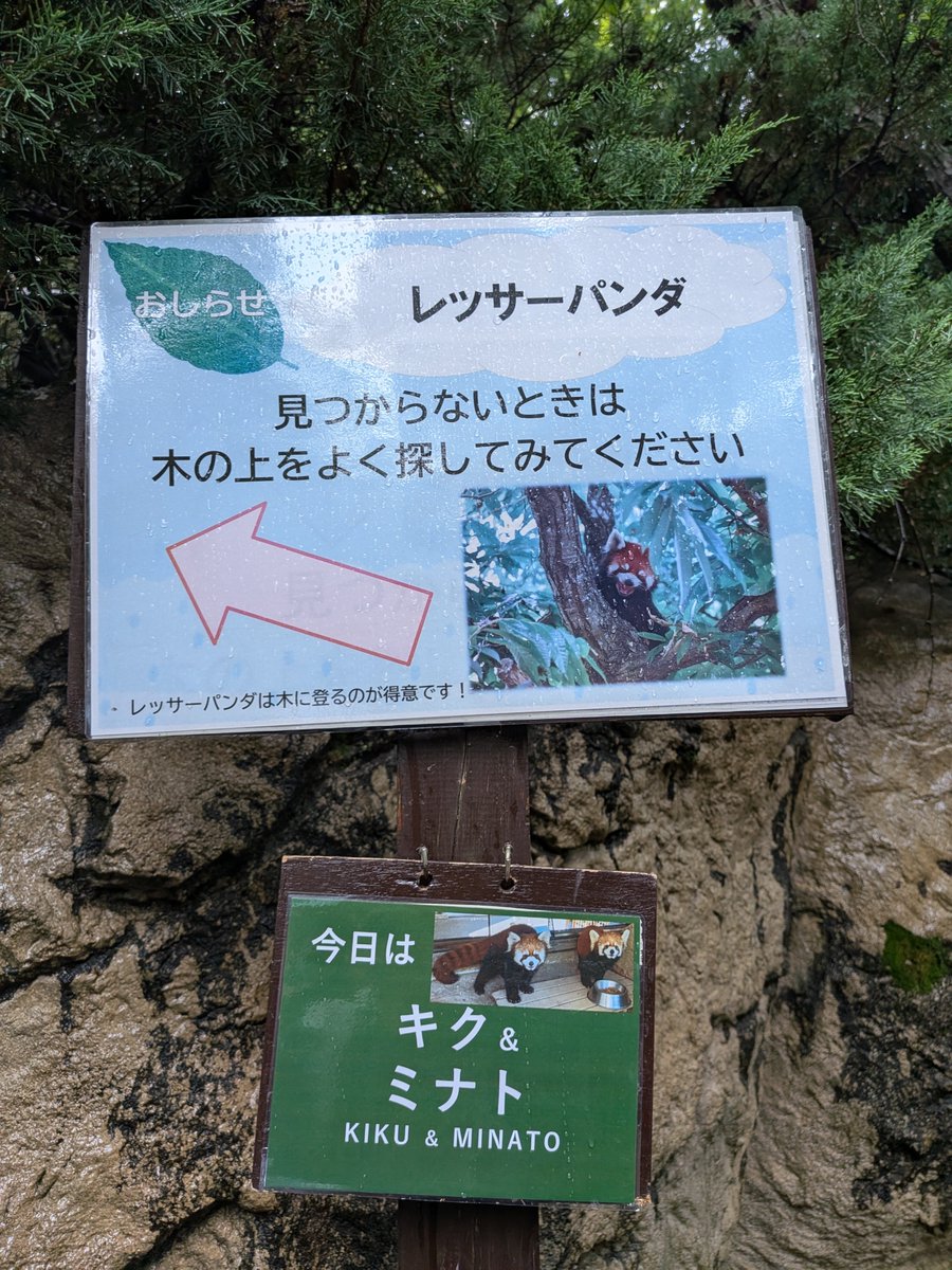 私の計算に間違いは無かった #今日はここ