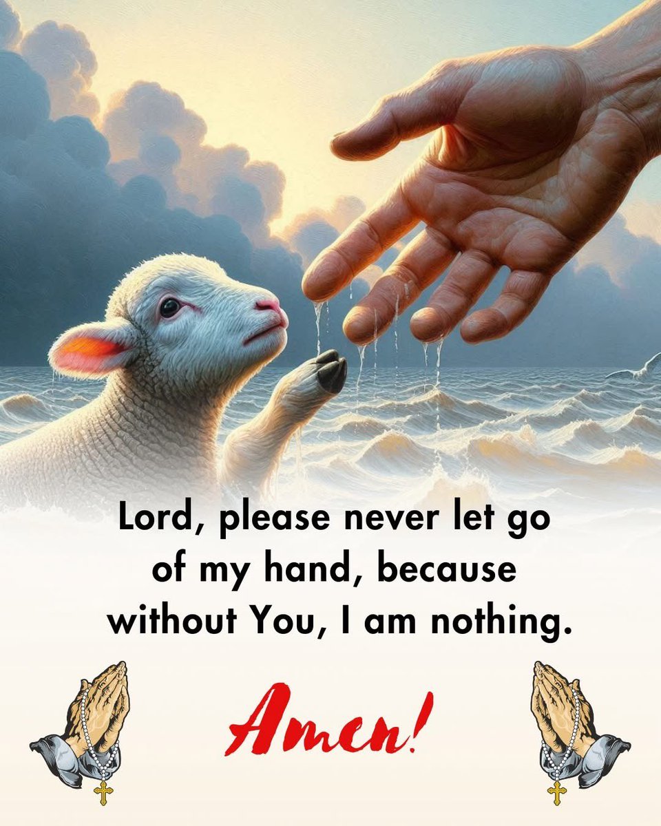 RamonTorre19768's tweet photo. #Jesus #ChristianQuotes #Christianity #ChristianFaith #ChristianInspirational https://t.co/cXW9bRE75n
