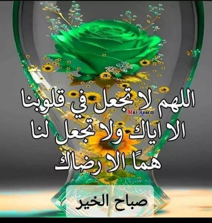 Bender__4's tweet photo. @L_2023L صباح الخير والسعادة https://t.co/k3bCWjUMPl