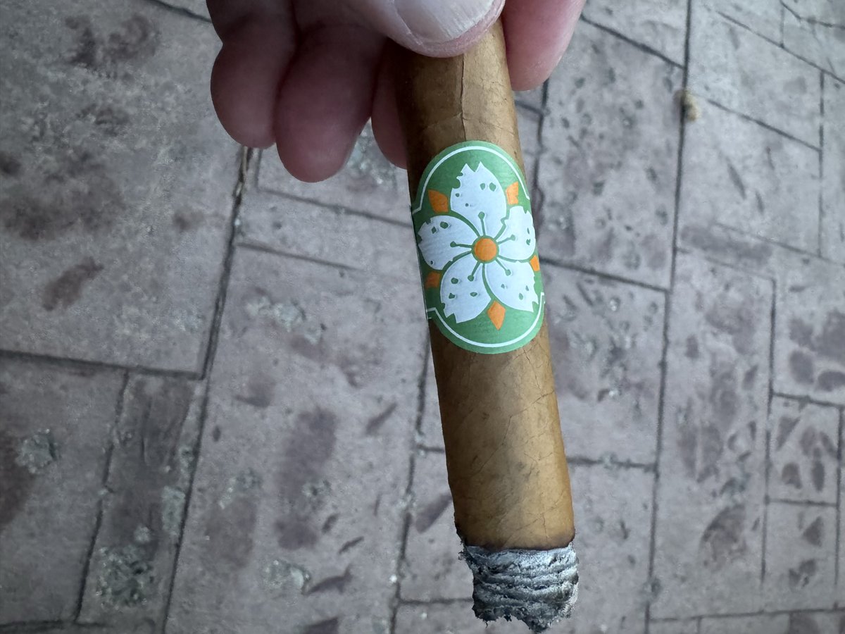 ScottBlakely8's tweet photo. @the_bassplayer @micallefcigars I just got this one in the cigar of the month club. Miami Snow. It’s the cheapest one in there so I started with that. Not too bad for a five dollar stick. https://t.co/TEOESmrE3L