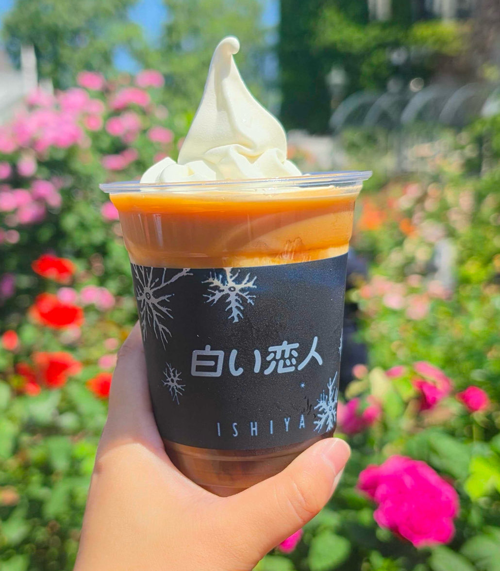 ishiya_park's tweet photo. 今日も暑いですね☀️
ちょっと外に出るだけで汗だく💦

こんな暑い日は
冷たいドリンクを飲みたくなりますよね😆

白い恋人ブレンドコーヒーに #白い恋人ソフトクリーム をのせたコーヒーフロートはいかがですか？🍦✨

中庭ソフトクリームハウス・カンタベリーにてご用意しています。 https://t.co/k1g60QGui7