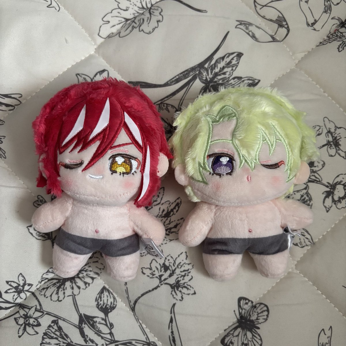 ioriiiine's tweet photo. え、いつぬいどした？？？

なんか全体的に綿少ないのか柔らかい。顔も体もでかくてシワシワ。

夏目と日和やばくない？？？
製造元変えた？？？？？毛も抜けまくり
ショックすぎる🥲🥲🥲

3枚目は1弾と比べた感じ。 https://t.co/x0Q9XEQSUV